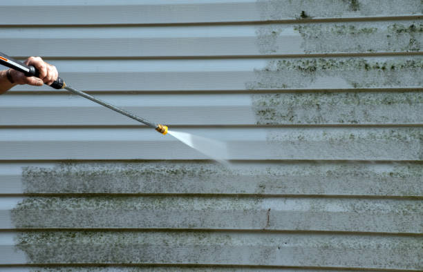 Best Office Mold Removal Services  in Washington Park, IL
