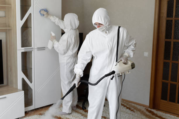 Best Commercial Mold Removal  in Washington Park, IL